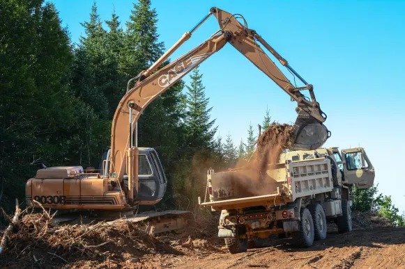 Lupin Kasyno Wsparcie